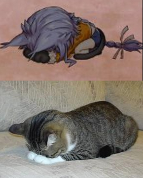 クラクル、スレ